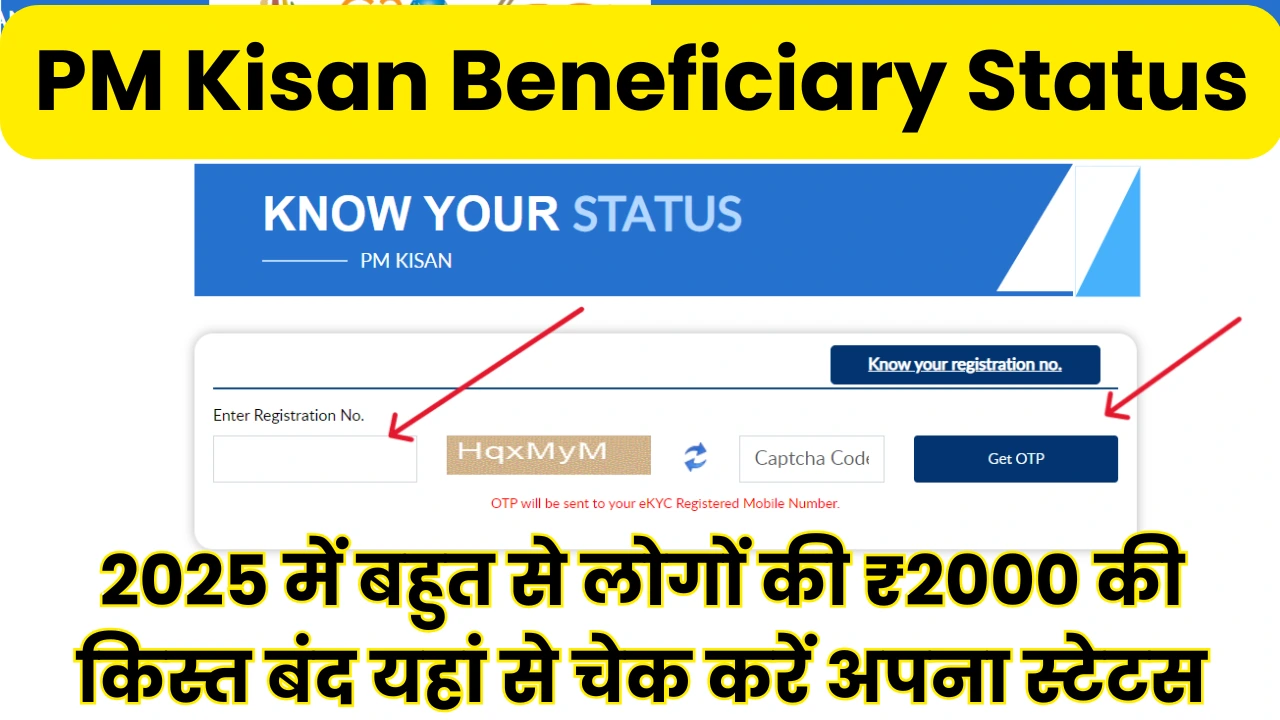 PM Kisan beneficiary status